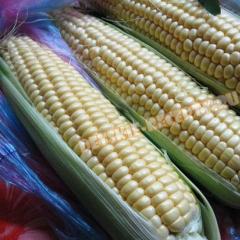 Как долго варить кукурузу, чтобы она была сочной, мягкой и нежной