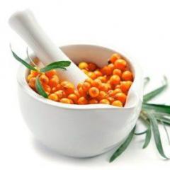 Recipes and ways to use sea buckthorn oil for the best manifestation of its medicinal properties