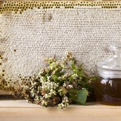 عسل الحنطة السوداء - كيفية تحديد الطبيعة الوصف والخصائص المفيدة لعسل الحنطة السوداء