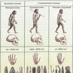 Human social evolution: factors and achievements Human evolution occurs under the influence of factors