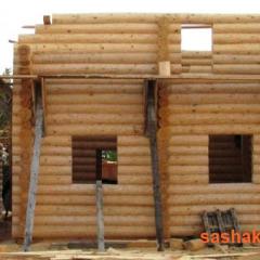 DIY log house
