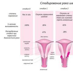 Life after cervical cancer
