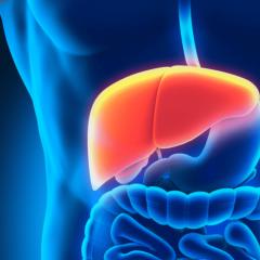 How to treat the liver in adults: a list of effective drugs How to treat the liver