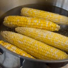 Jak ugotować kukurydzę miękką, soczystą i smaczną oraz szybko